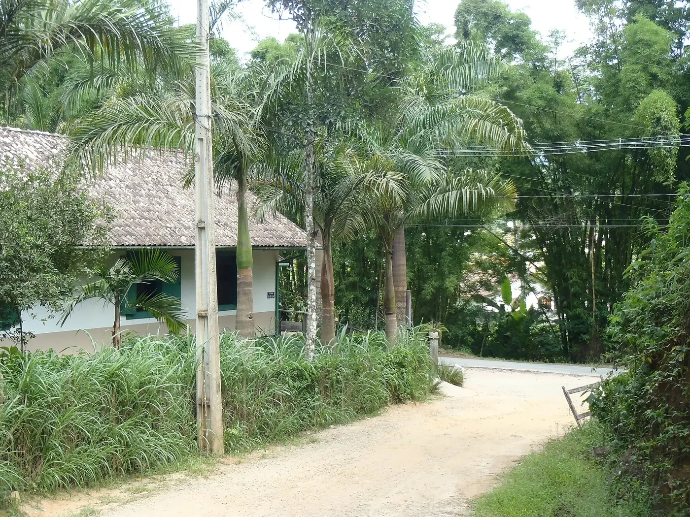 Estrada de terra com casa de sapê e coqueiros em Lumiar