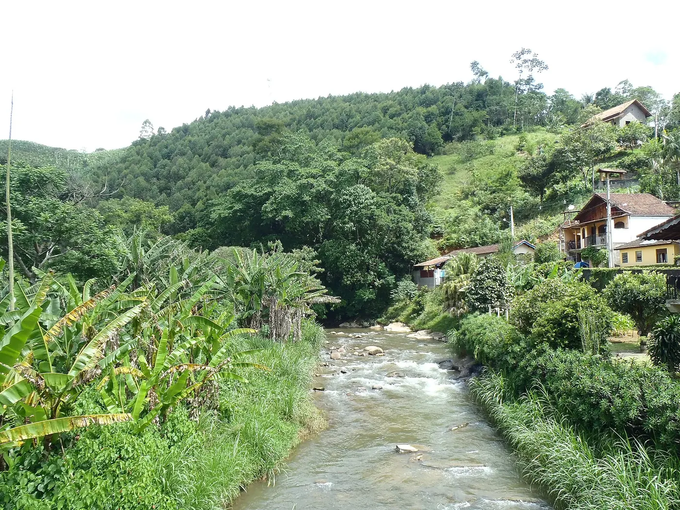 Rio de águas claras entre margens verdes em Lumiar