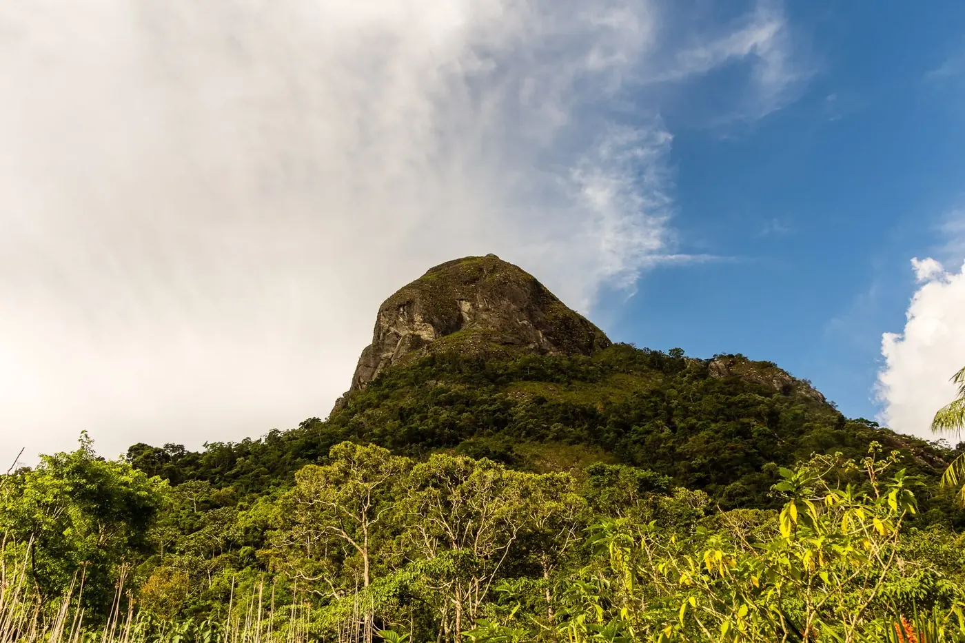 Pico rochoso coberto de mata na APA de Macaé de Cima